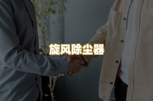 旋风除尘器