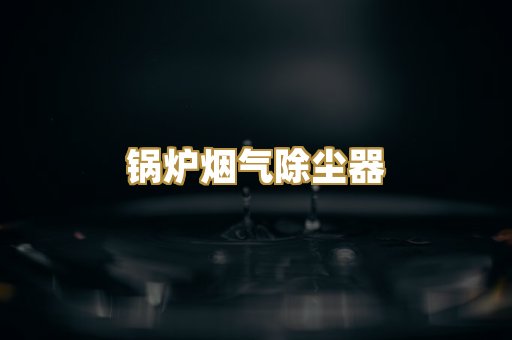 锅炉烟气除尘器