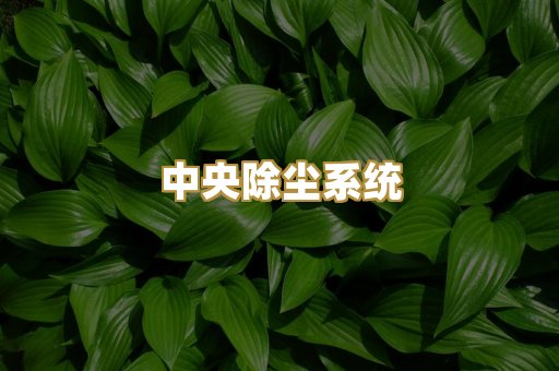 中央除尘系统